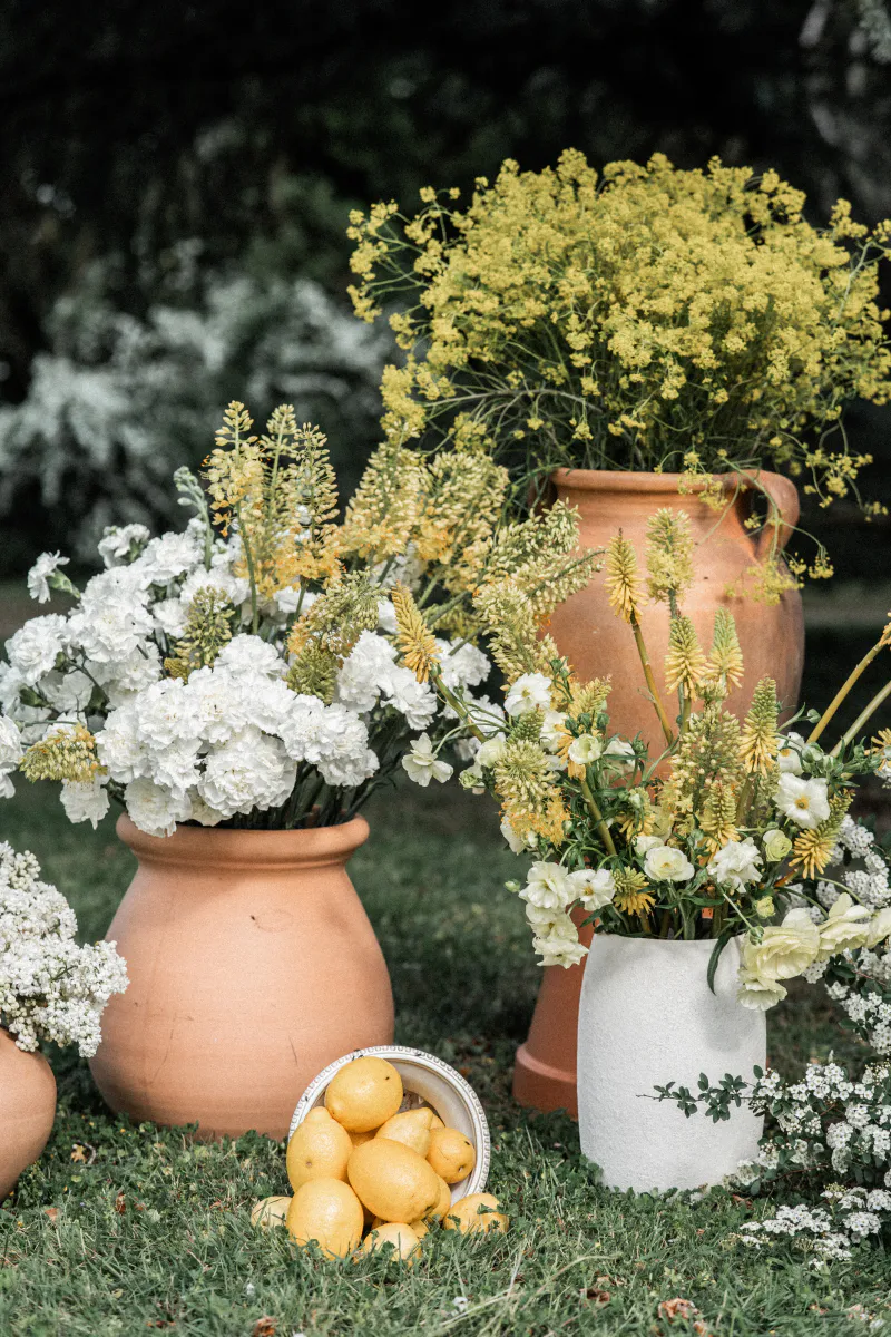 Jarres en terre cuite garnies de fleurs blanches et jaunes