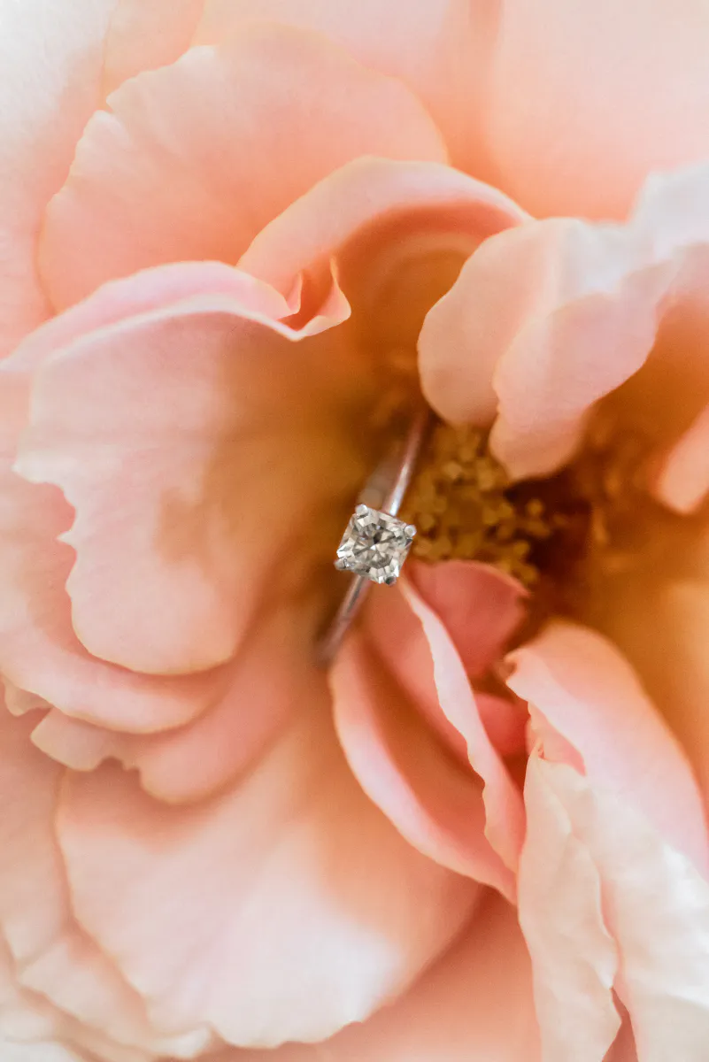 Bague de fiançailles posée au cœur d'une rose pêche